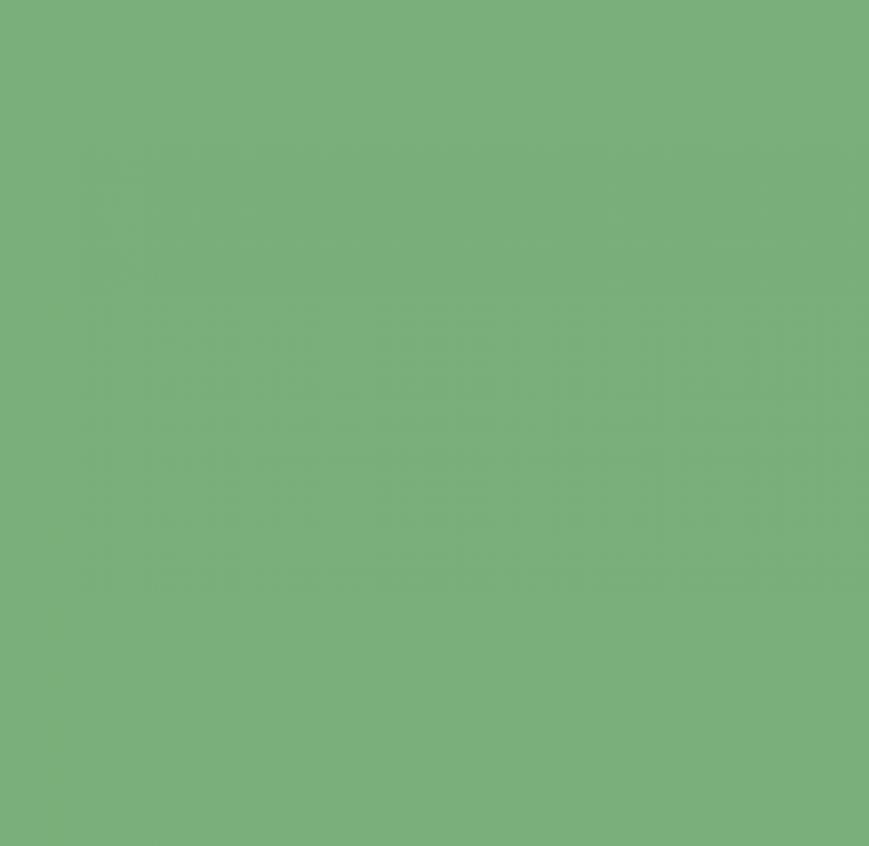 Tinta Acrílica Fosca Standard Cor Verde Angra 18L Futura