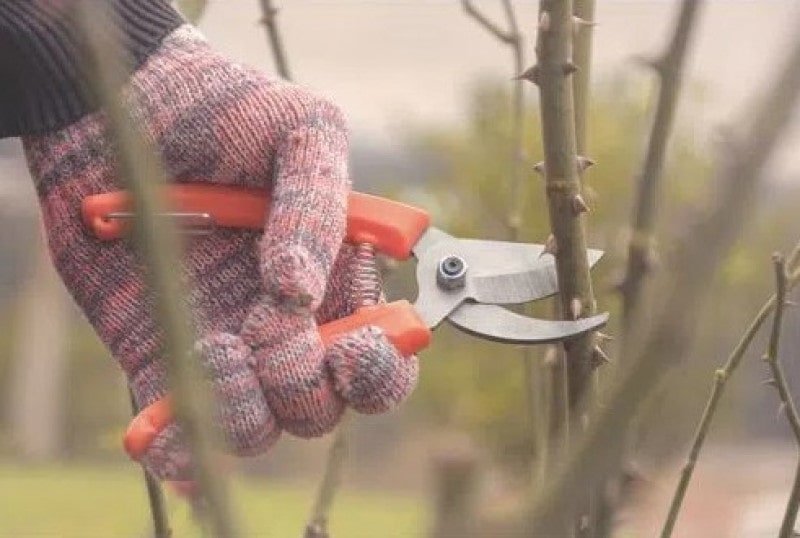 Tesoura de Poda com Lâmina Metálica e Cabo Plástico - Tramontina